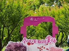 -南湖湿地公园