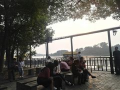 -溱湖国家湿地公园