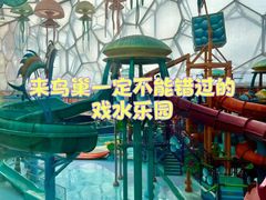 -水立方嬉水乐园