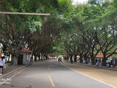 -南沙天后宫景区