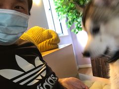 -Husky Go! 哈士奇体验馆·宠物咖啡厅狗咖
