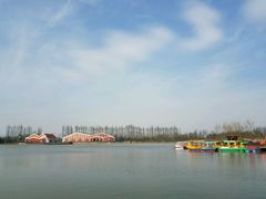 -上海长兴岛郊野公园