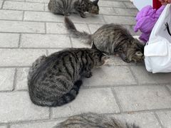 -鬼笑石后山停车场