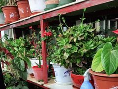 -北京龙庆四季香农家饭庄·灶台鱼·碳烤虹鳟鱼(龙庆峡店)