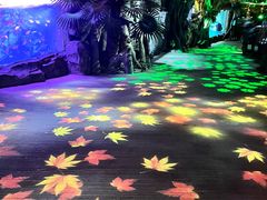 -泉城欧乐堡海洋极地世界