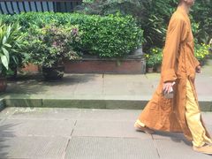 -峨眉山报国寺
