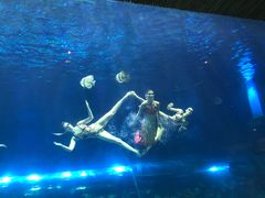 -华夏文旅海洋公园