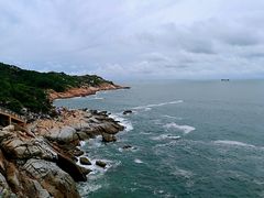 -广东惠东海龟国家级自然保护区