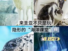 -大连圣亚海洋世界