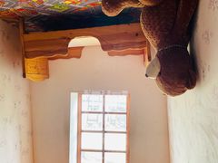 -金山农民画村-枫泾波兰倒置屋