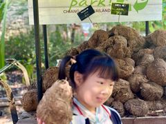 -大象粑粑造纸公园