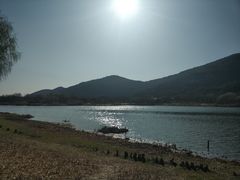 -长广溪湿地公园