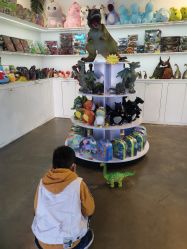 -恐龙探索乐园(磁器口店)