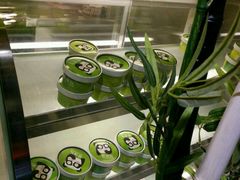 -六时安·熊猫张甜品店(东关街店)