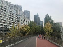 -北外滩滨江绿地