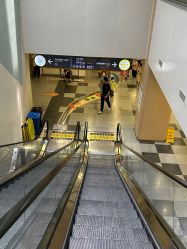 -上海交通大学医学院附属上海儿童医学中心(陆家嘴总院区)