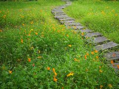 -福建鲤鱼洲酒店