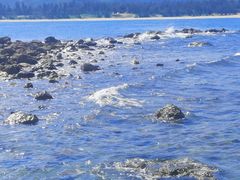 -西涌国际滨海旅游区