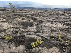-夏威夷火山国家公园