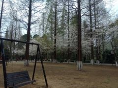 -宝岩生态观光园