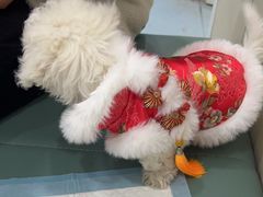 -佳怡动物医院·平价24小时·猫专科骨外科