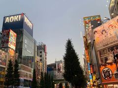 -秋叶原电器街