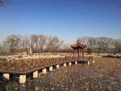 -稻香湖景欢乐岛温泉城堡