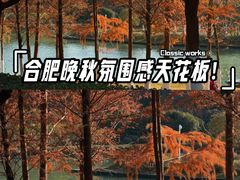 -滨湖塘西河公园