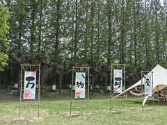 -黄海国家森林公园