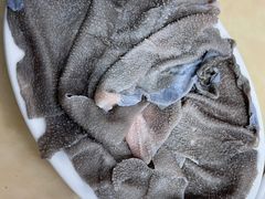 -五洲牛肉美食馆