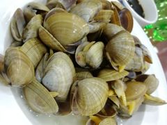 -叶存利海鲜大馅饺子(东戴河止锚湾店)