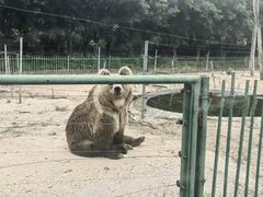 -秦皇岛野生动物园