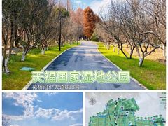 -昆山城市生态森林公园