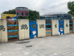 -鹦鹉洲湿地公园