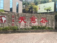 -华蓥山天意谷景区