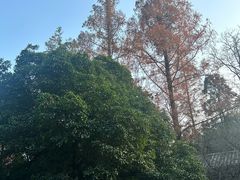 -白鹿洞书院