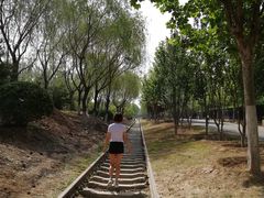 -永定河休闲森林公园