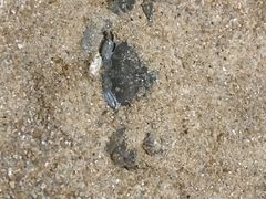 -惠州金海湾嘉华度假酒店