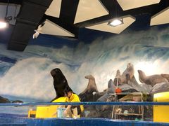 -梦幻海洋王国(吾悦广场张家港店)