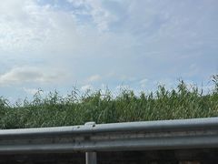 -苏州吴中太湖旅游区