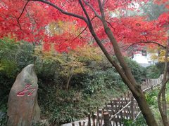 -岳麓山风景名胜区