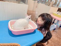 -杭州开元森泊度假乐园