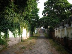 -璇景祥蔬菜水果店