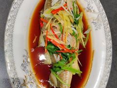 -天鹅到家·保姆月嫂育儿嫂(朝阳店)