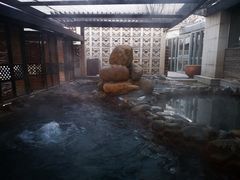 -春晖园度假酒店温泉