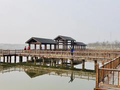 -天津东丽湖风景区
