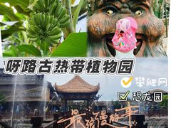 -呀路古热带植物园