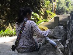 -江西阳明山国家森林公园