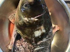 -好灶头妈妈菜·千岛湖土菜地标美食