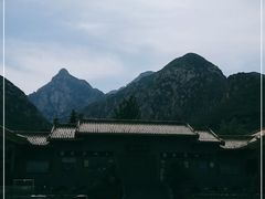 -禅宗少林·音乐大典